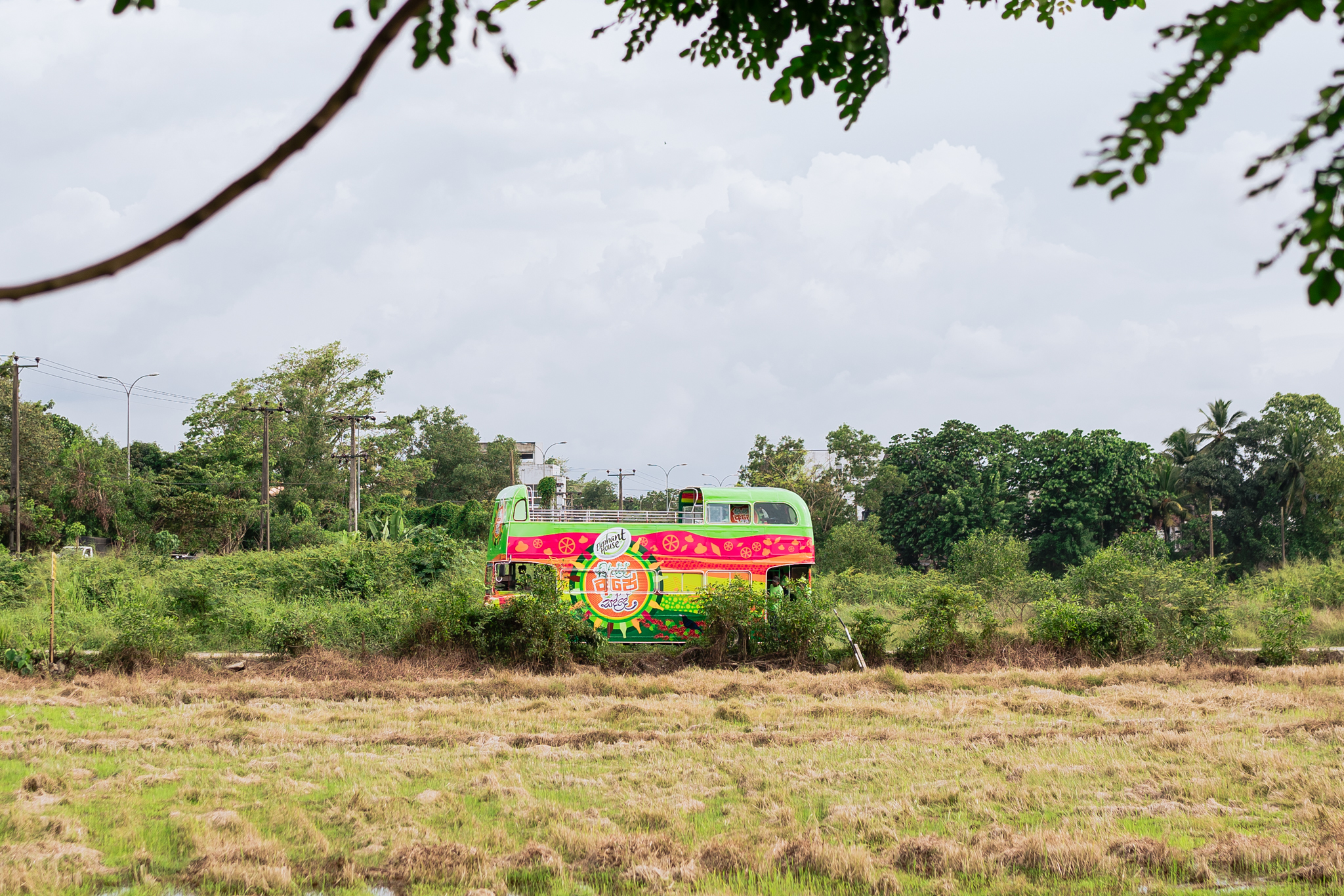 Elephant House Awurudde Ape Sadde - Image 9