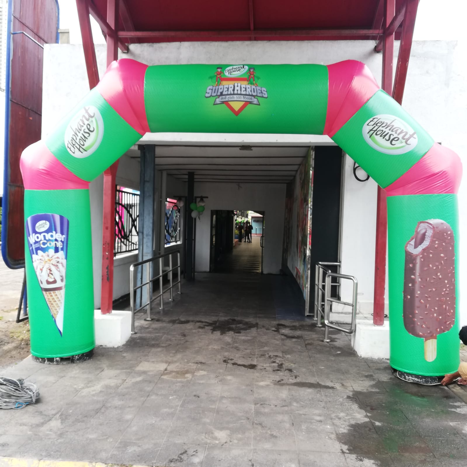 Elephant House Event - Image 5