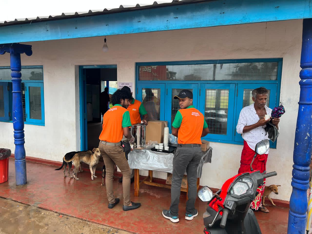 Ginger Harbor - Image 8