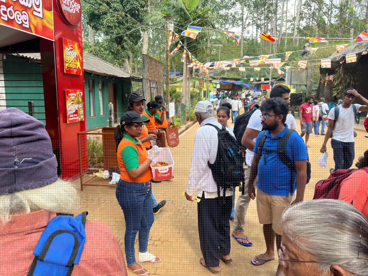 Ginger Sri Pada - Image 3