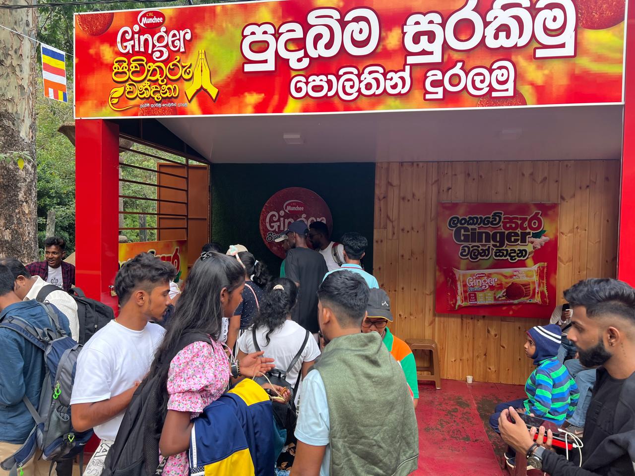 Ginger Sri Pada - Image 4