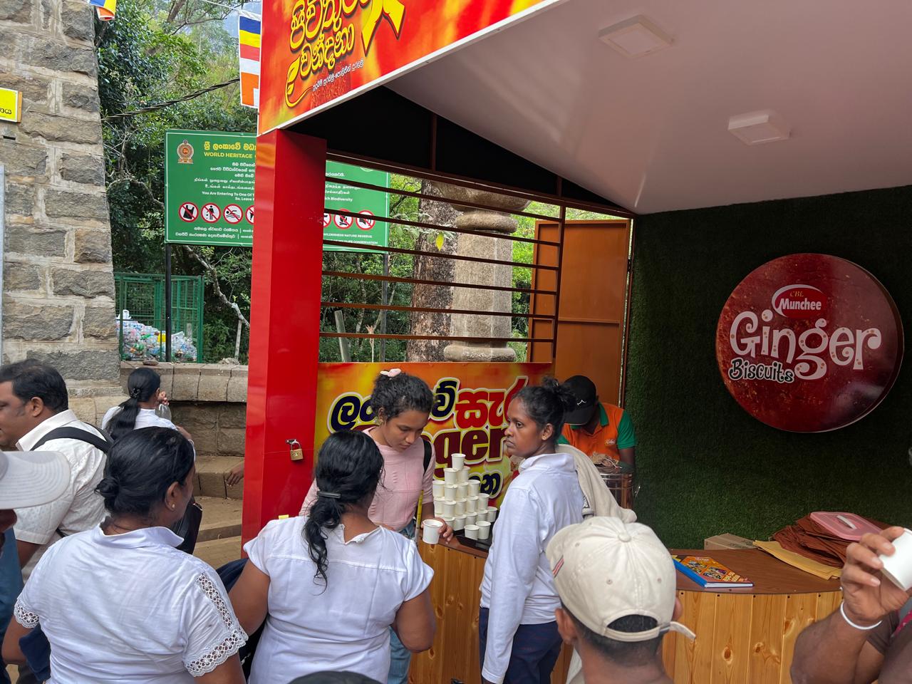 Ginger Sri Pada - Image 7