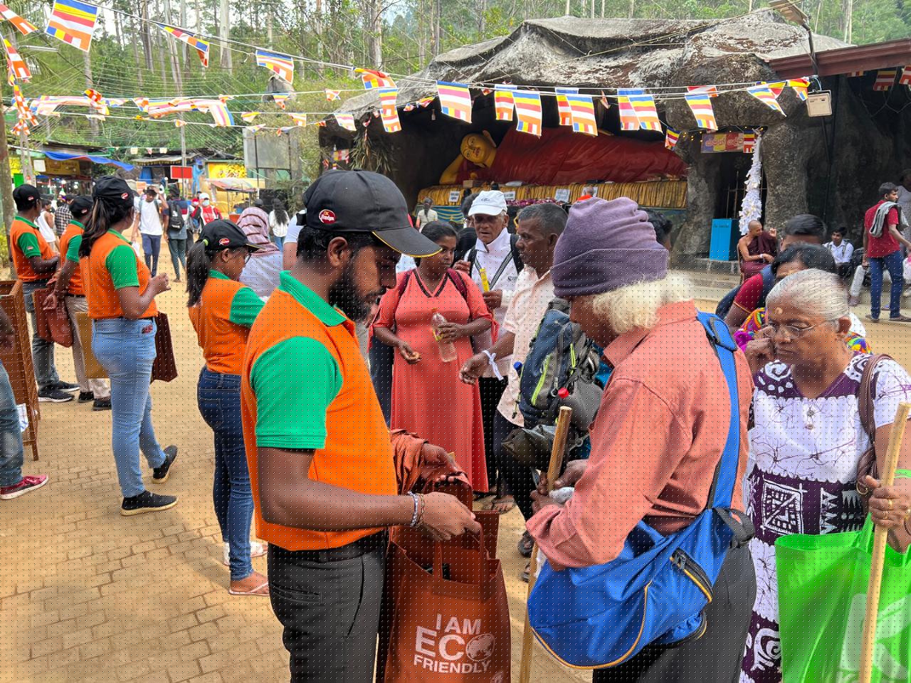 Ginger Sri Pada - Image 8