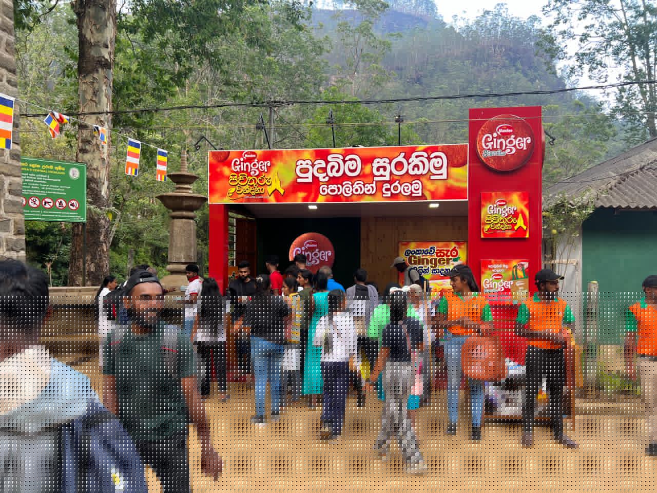 Ginger Sri Pada - Image 9