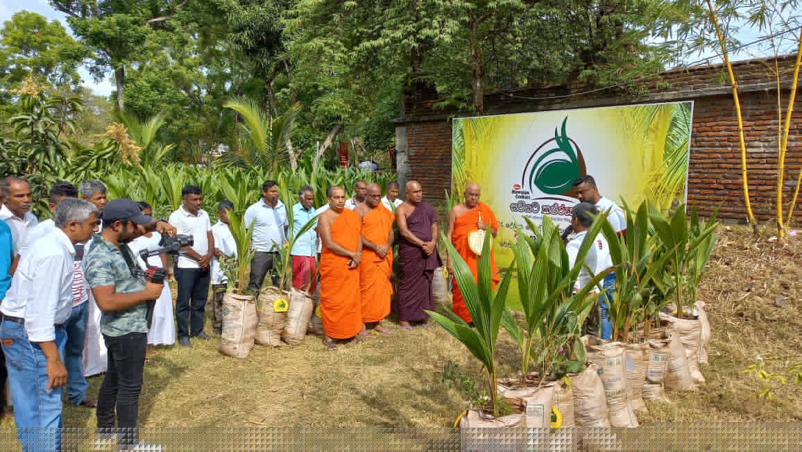 Hawaiian Kapruka - Image 2