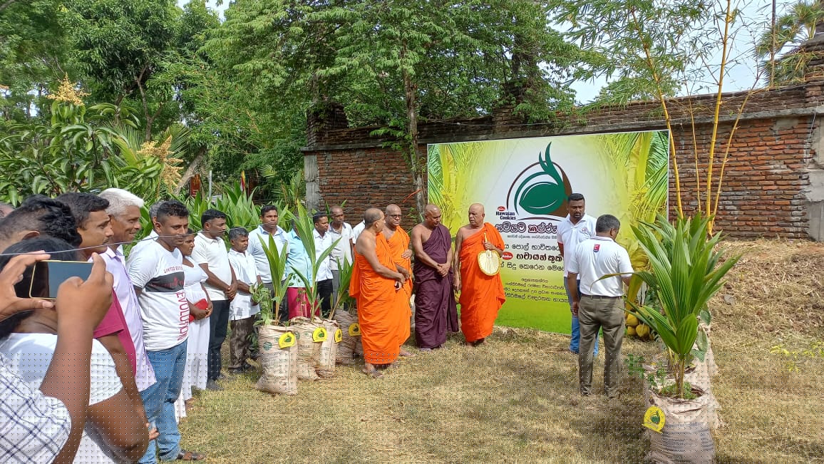 Hawaiian Kapruka - Image 3